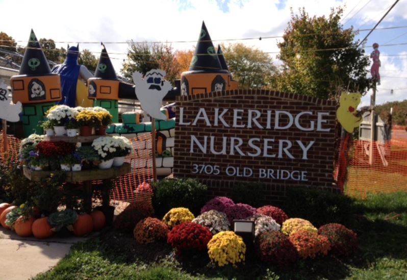 nursery
